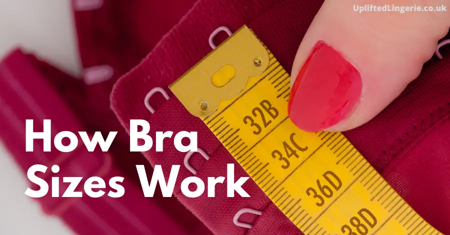 How Do Bra Sizes Work