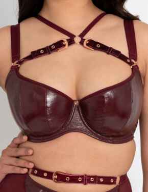 Scantilly Buckle Up: Padded Half Cup Bra ST015105 - Oxblood