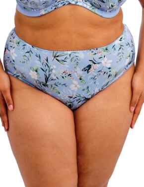 Goddess Kayla: Brief GD6168 - Cornflower