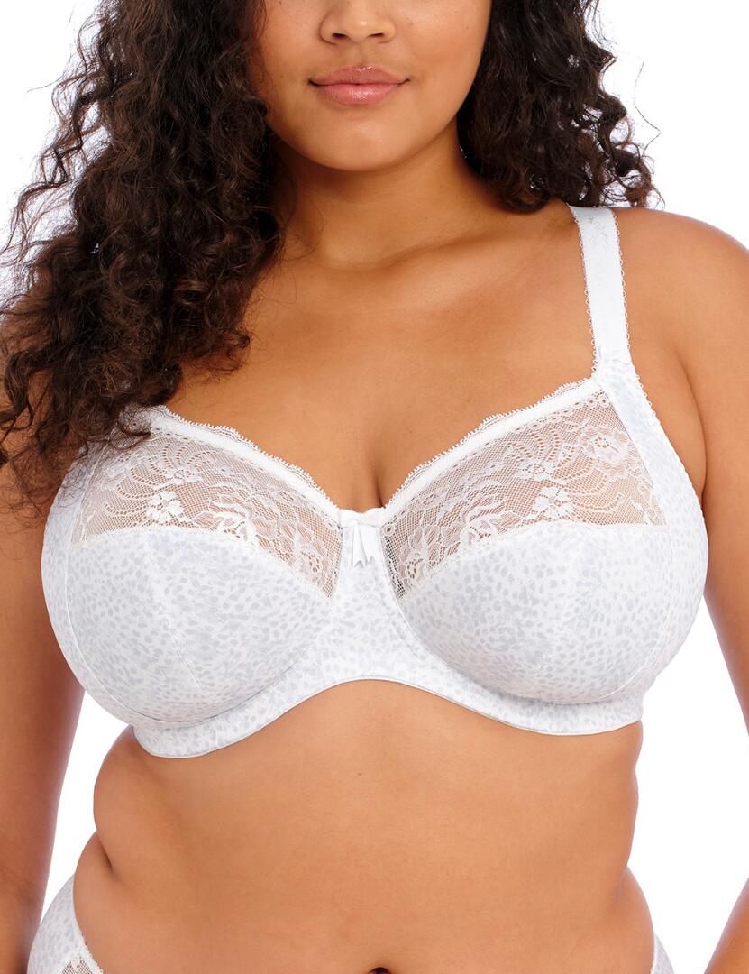 Elomi Morgan : Underwired Bra EL4110 - White