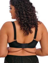 Elomi Morgan : Underwired Bra EL4110 - Summer Garden