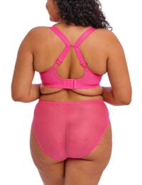 Elomi Charley: Plunge Bra EL4380 - Pink