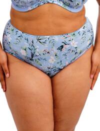 Goddess Kayla: Brief GD6168 - Cornflower
