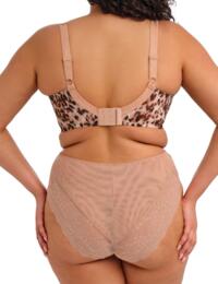 Elomi Lucie: High Leg Brief EL4498 - Wildcat